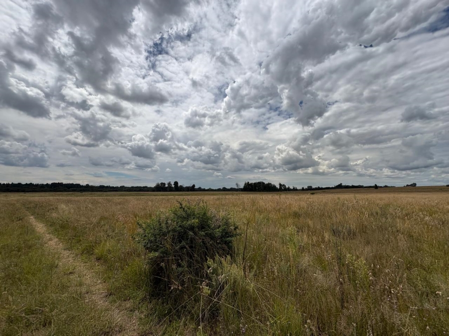 0 Bedroom Property for Sale in Vaalpark Free State